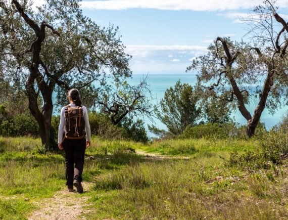 erbe selvatiche del gargano