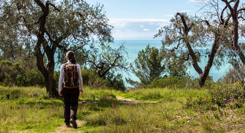 erbe selvatiche del gargano