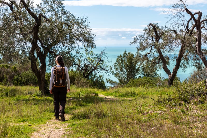 erbe selvatiche del gargano